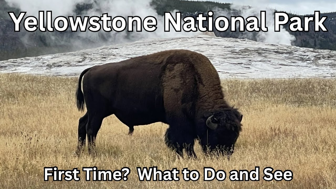 Yellowstone National Park: First-Time Guide (What to Do and See)