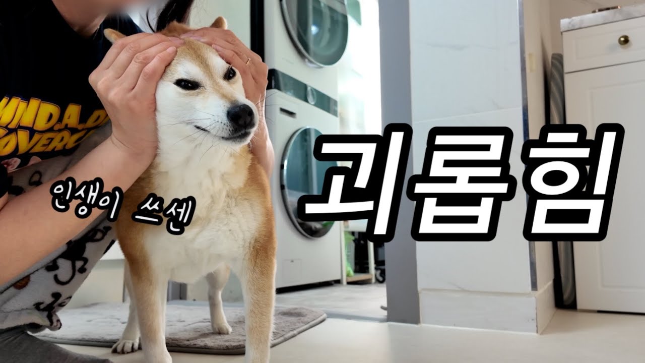 서로가 괴로울 때 희열을 느끼는 가족
