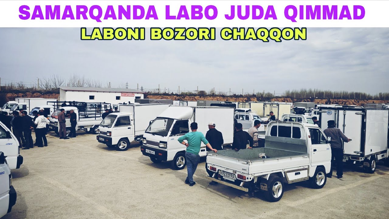 SAMARQAND MOSHINA BOZORI LABO NARXLARI TEZ KO'RING LABO JUDA QIMMAD.5.04.2026