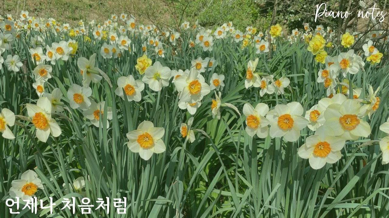언제나 처음처럼 Always like the first time