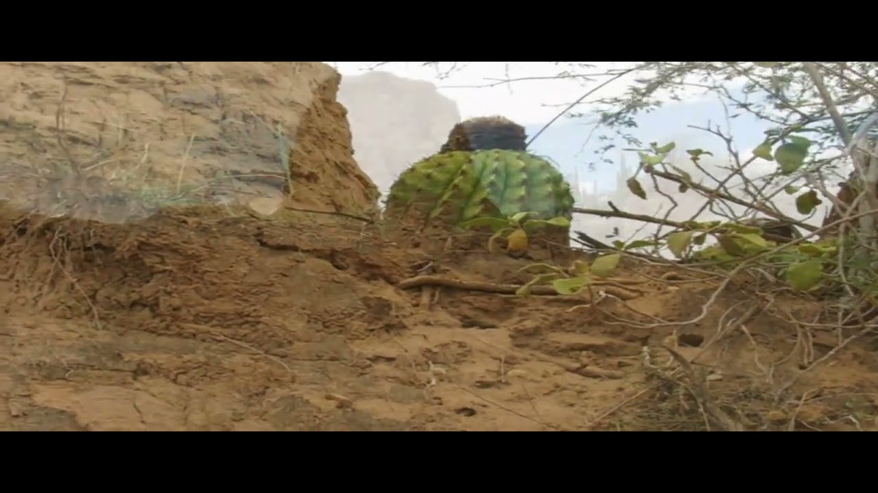 DOCUMENTAL DESIERTO DE LA TATACOA