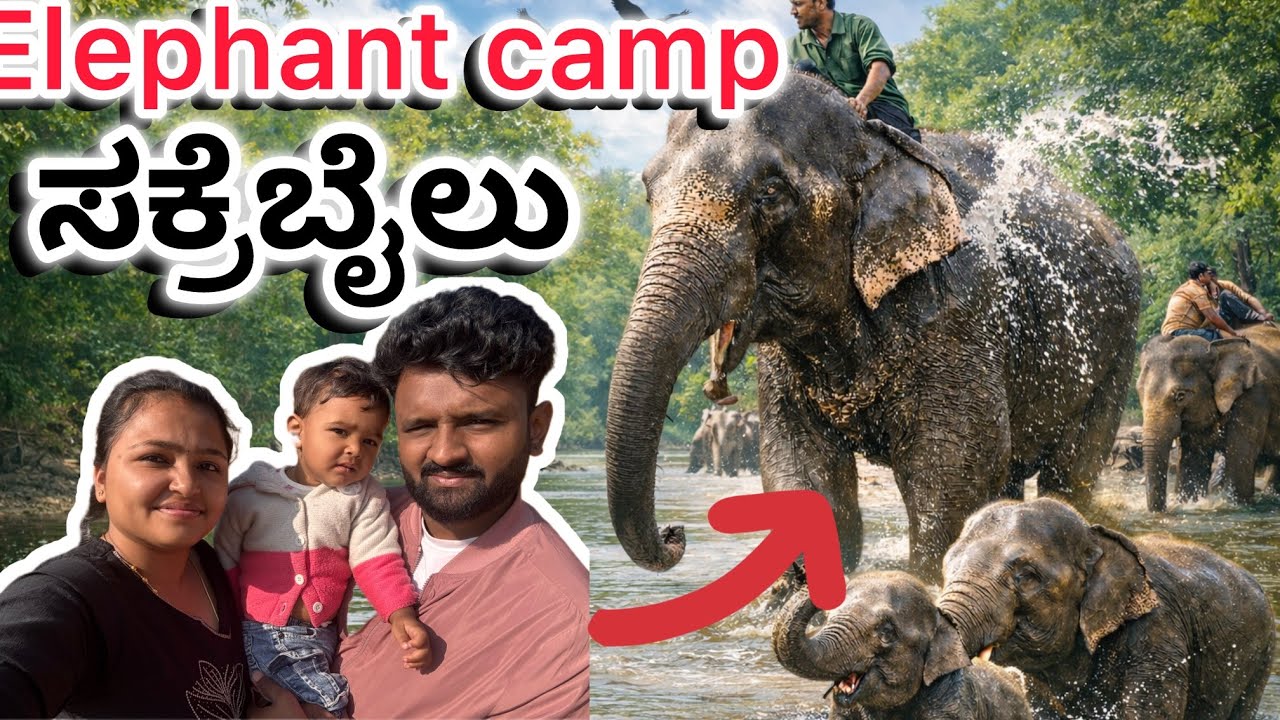 ಇದು Zoo ಅಲ್ಲ… Elephant Sanctuary 🐘”