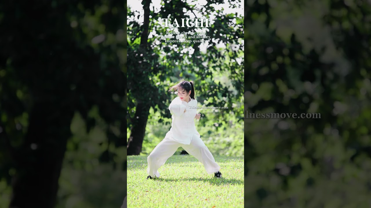 Tai Chi Quick Fight 