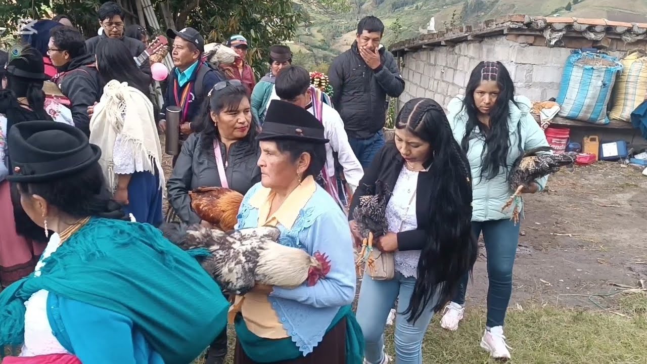 Entrega de gallos en la comunidad Manzano Guarangi 2025