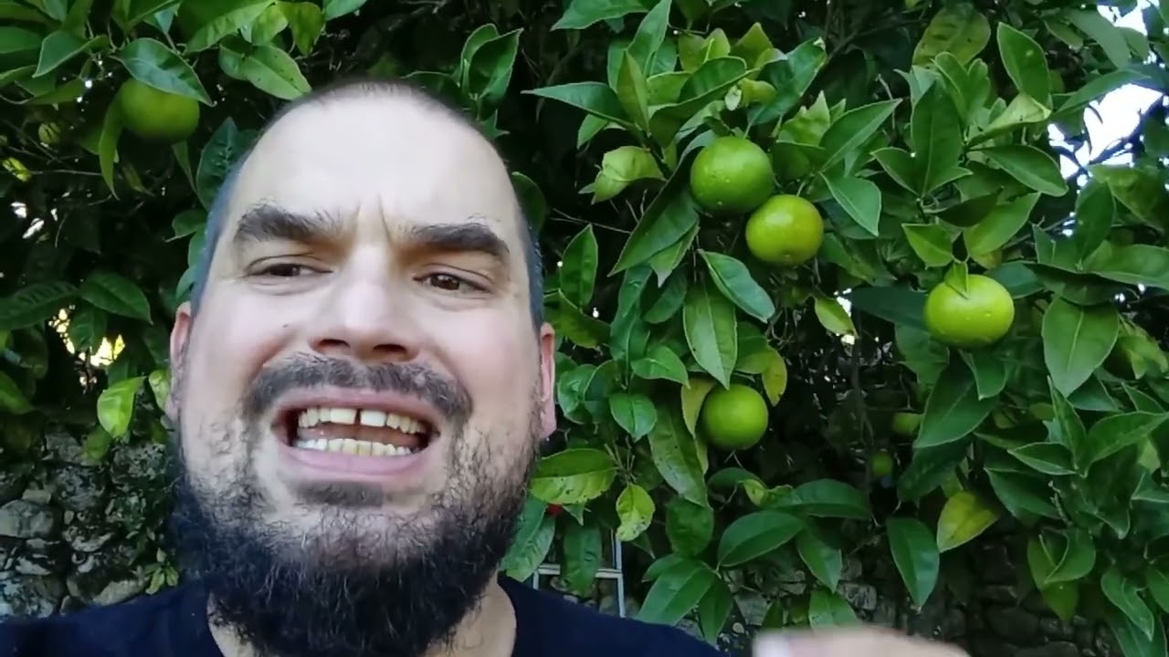 Vamos a dar la clase de DAR