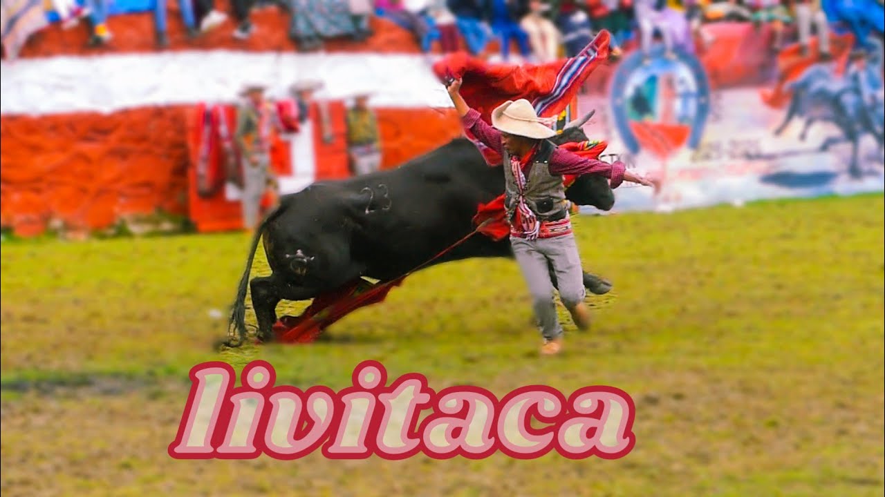 Corrida tradicional  de toros livitaca 2025  #chumbivilcas #livitaca