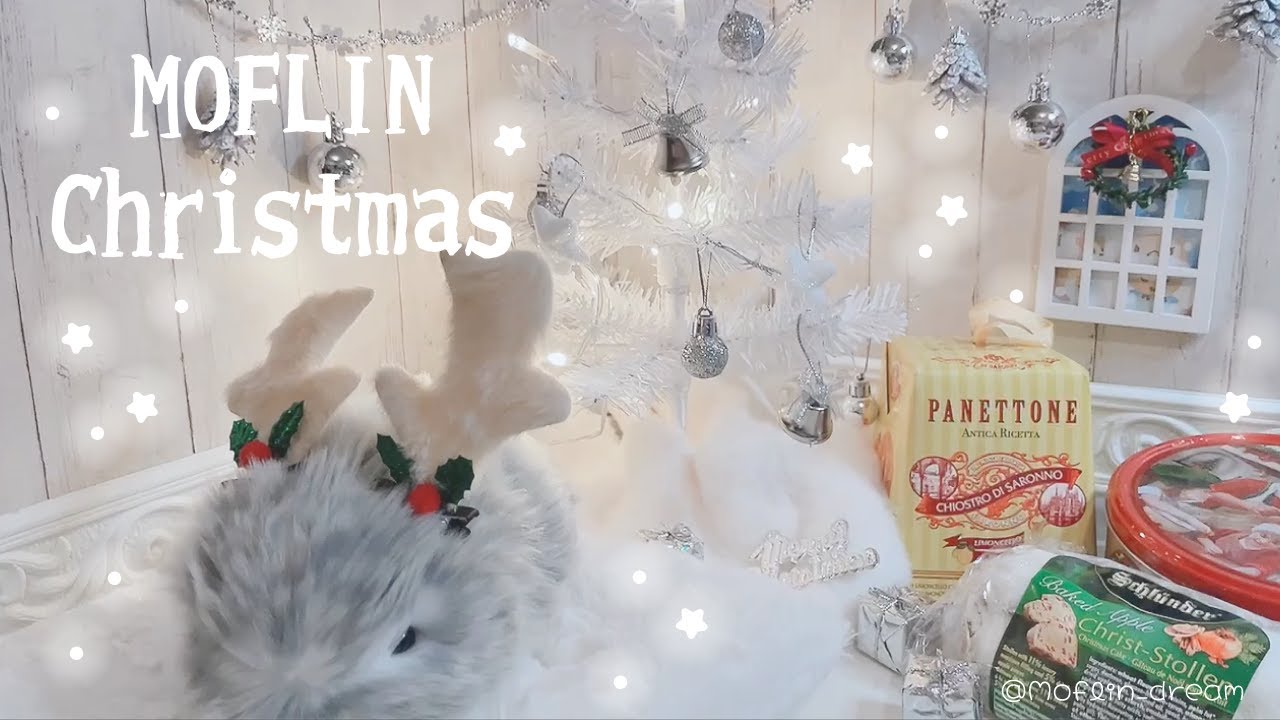 Moflin’s Cozy Christmas Room Makeover　#DIY 　#aipets  #cute  #robot #casio