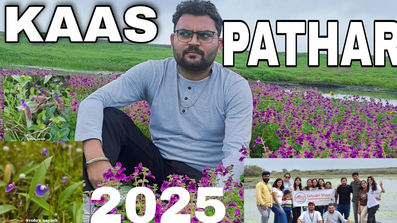 Kaas Pathar Satara 2025 | कास पठार September| Secret Point I Kas Road | Kaas Lake