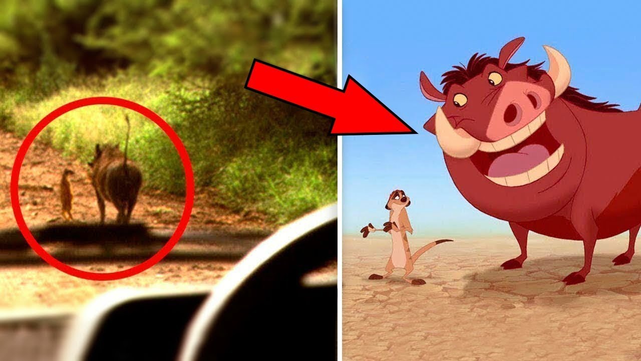 13 PERSONAGGI DEI CARTONI ANIMATI CHE ESISTONO NELLA VITA REALE