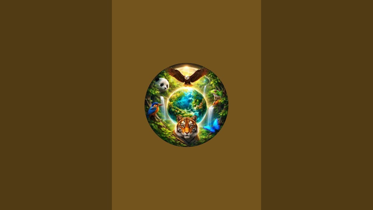 LifeOrbit is live