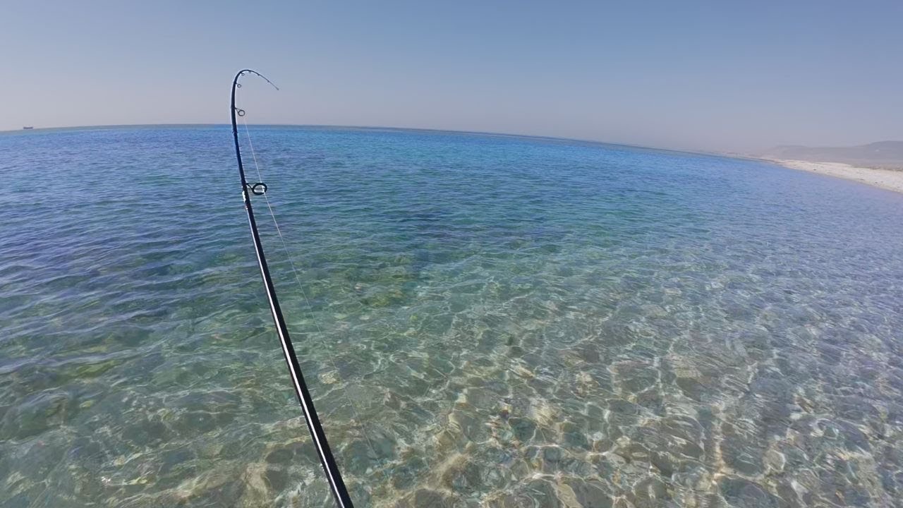 Пляжная рыбалка в Аравийском море с разными приманками!