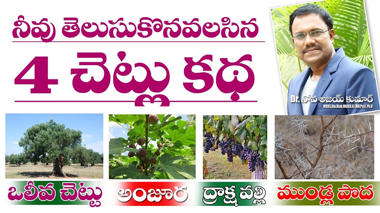 When Trees Look For A King - నీవు తెలుసుకోవలసిన 4 చెట్లు కధ - Dr.Noah