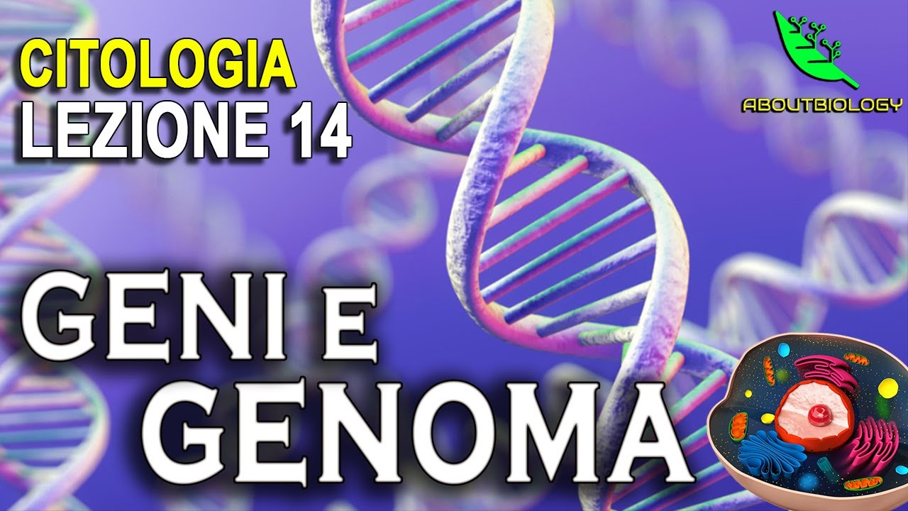 Il GENOMA e i GENI  Citologia Lezione 14