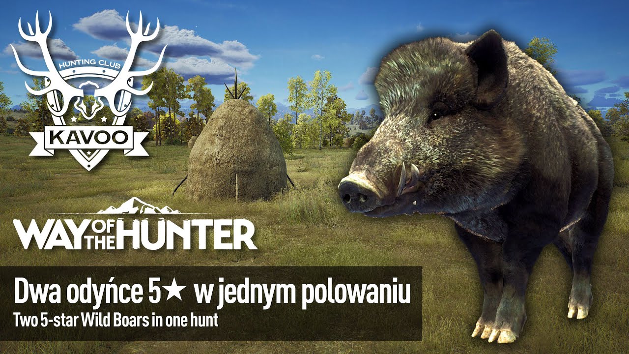 Way of the Hunter gameplay PILOT ||| Transylvania - 2 pięciogwiazdkowe dziki podczas jednego streamu