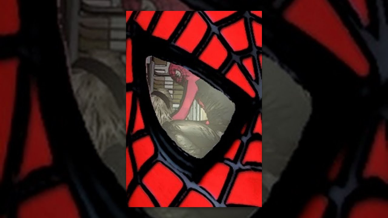 Spider-Man Asylum
