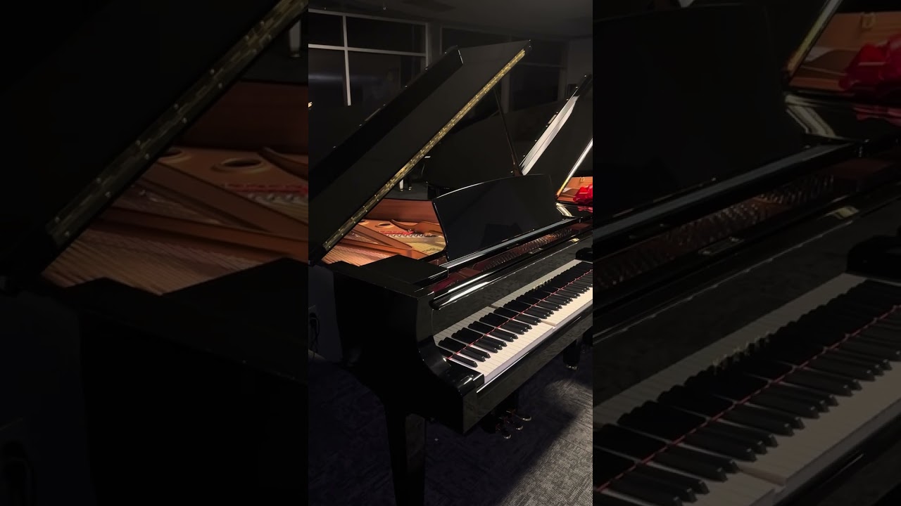 Универсальный MIDI/аудиоресивер для пианино — заменяет всё остальное!!!! Работает со всеми пианино.
