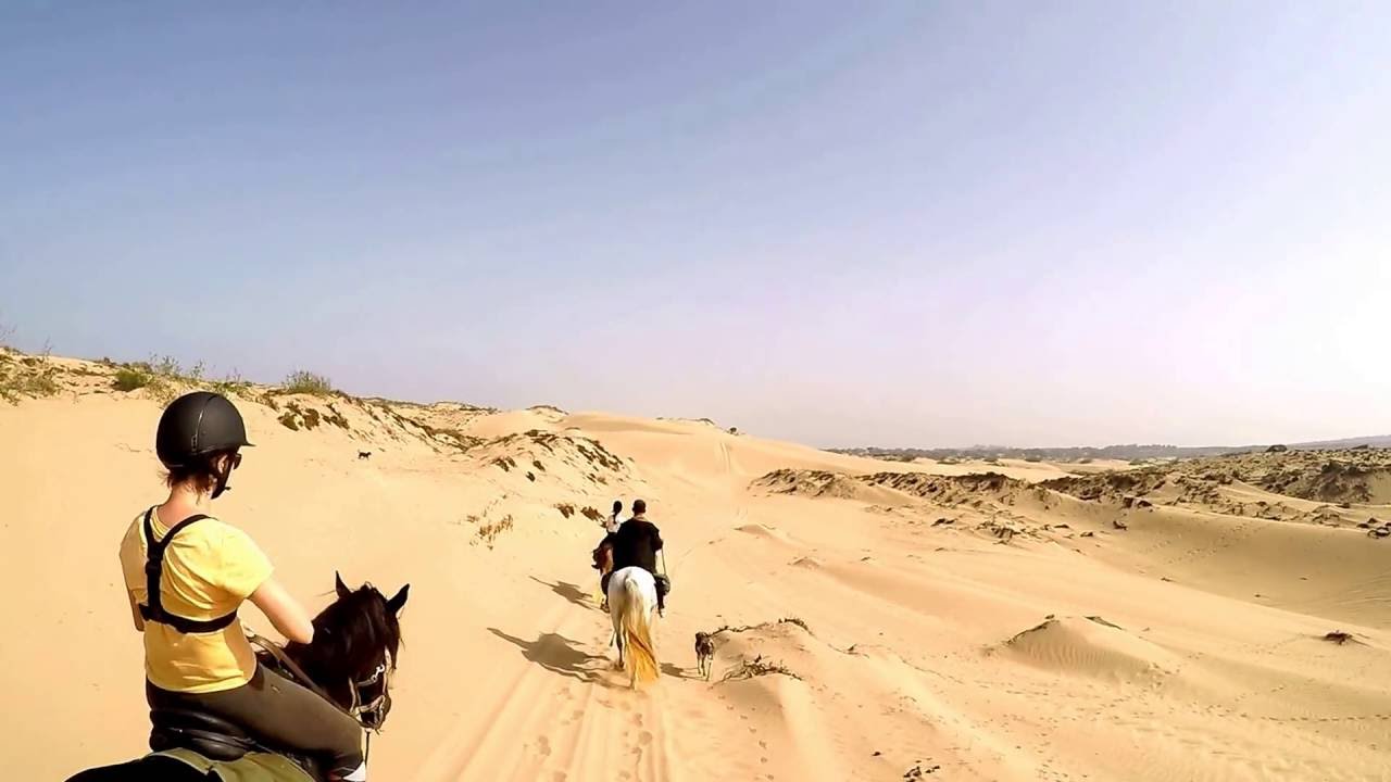 Travers&eacute;e des dunes &agrave; cheval, Essaouira, Maroc - La Maison du Cheval