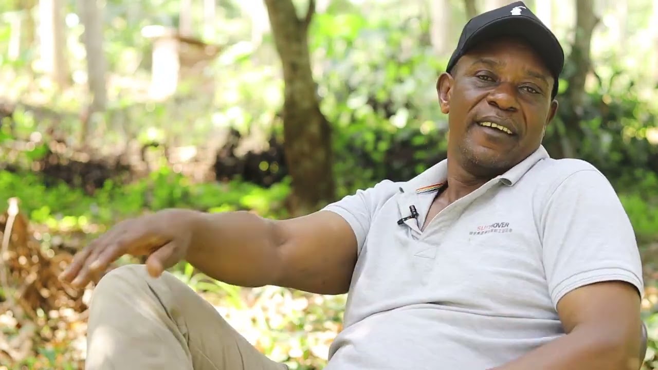 Mohammed Kakiika; how to earn money from commercial trees .