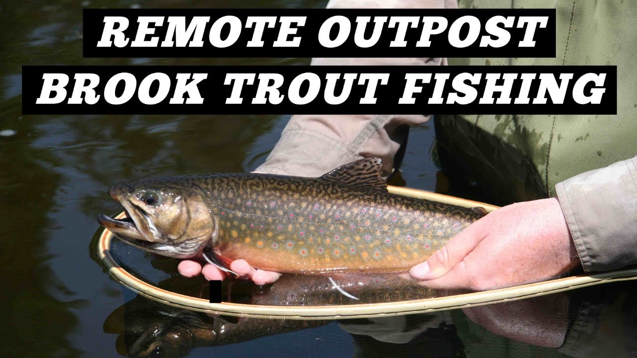 DIY Brook Trout Trip in Northern Ontario