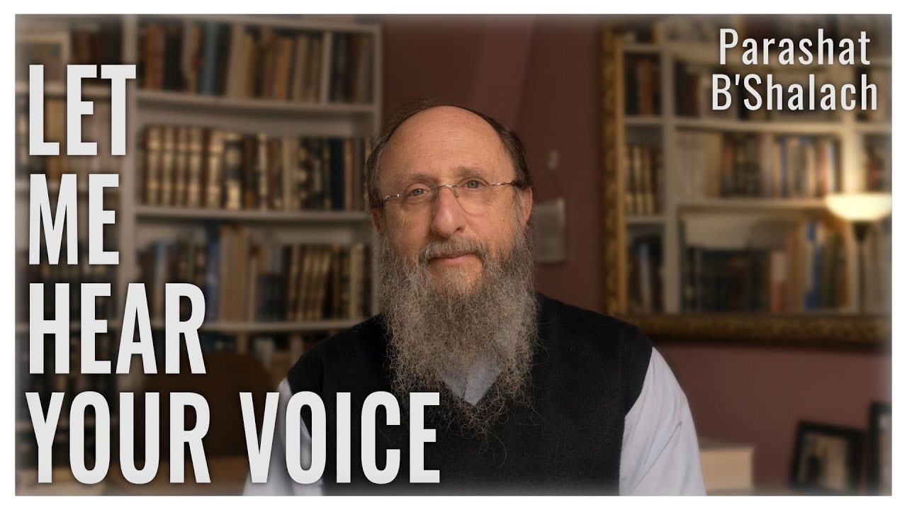 Parashat B'Shalach 5784 : Let Me Hear Your Voice