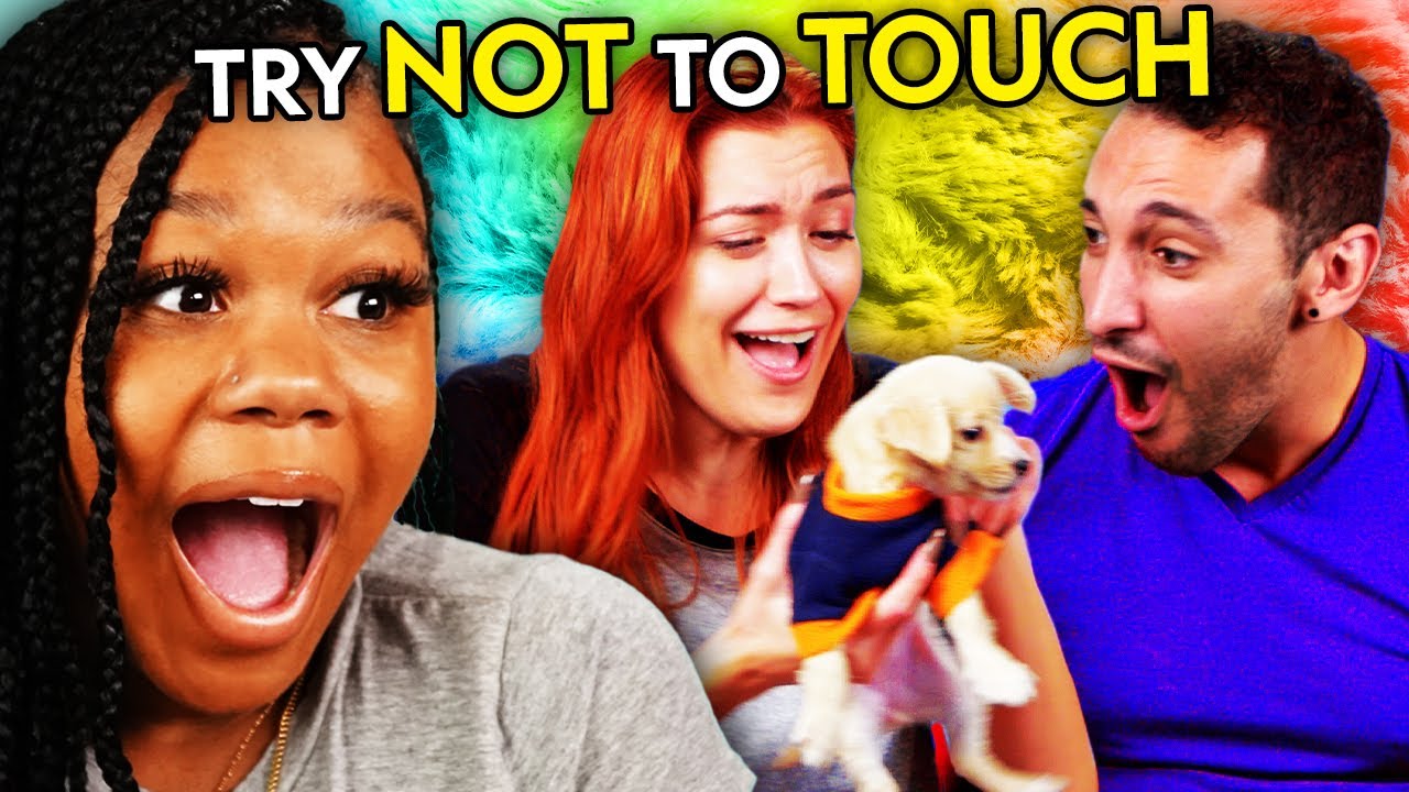 Try Not To Touch Challenge! (Puppies, Fake Snow, Fake Fire) | React