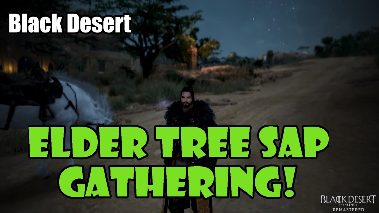 [Black Desert] Elder Tree Sap Farming / Rotation | 40+ Million Silver / Hour!