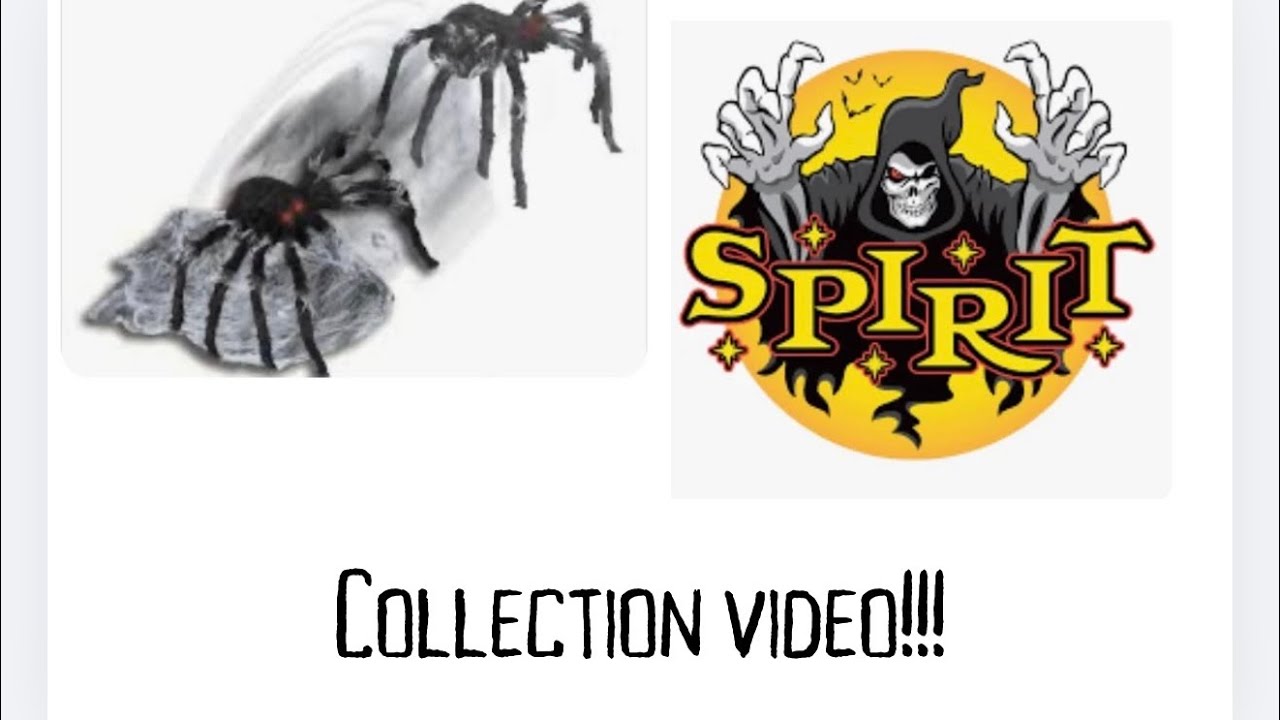 My 2025 jumping spider collection ￼