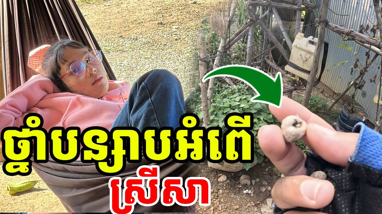 ដើររកថ្នាំបន្សាបអំពើ ព្រាយដែលនៅកាន់ស្រីសា [ ហនុមាន-Haknuman]