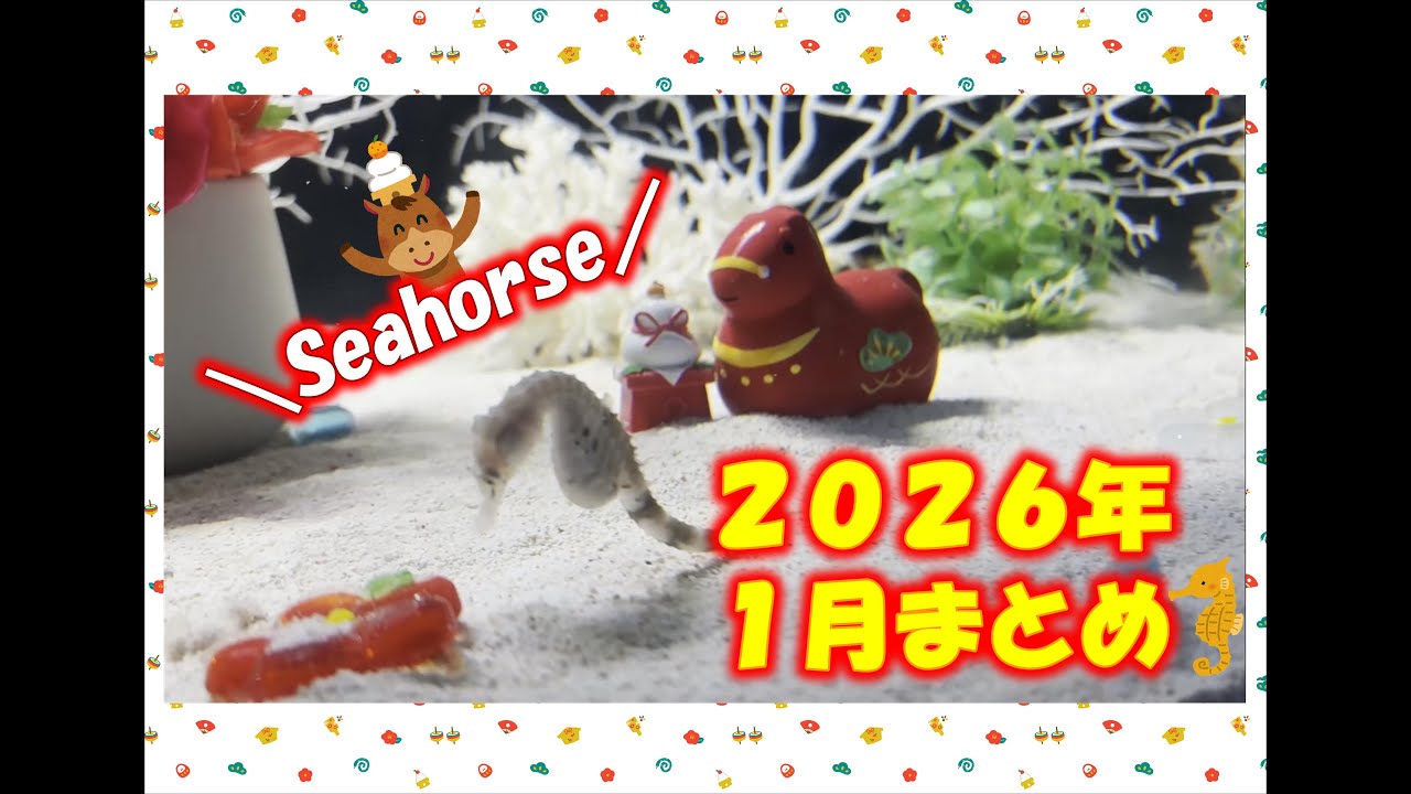 🦀かにっこ館SNS投稿動画まとめ🦀【2026年1月🎍】