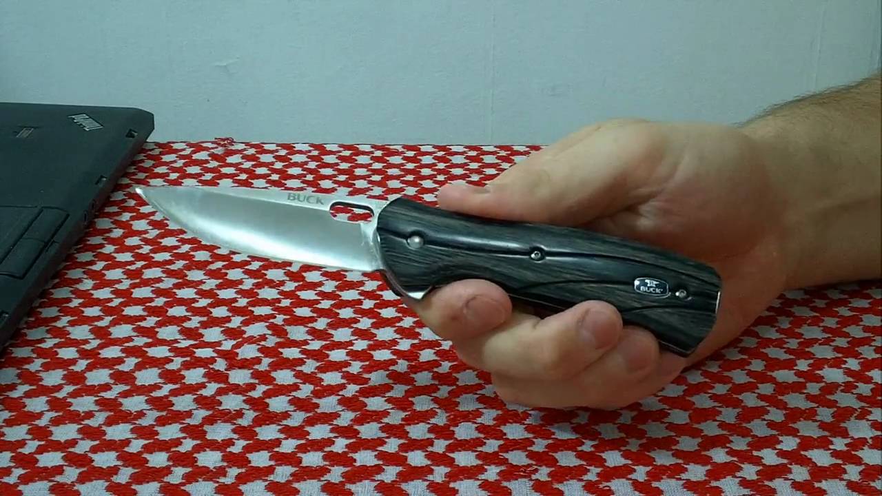 Мысли о ноже: Buck Vantage Avid