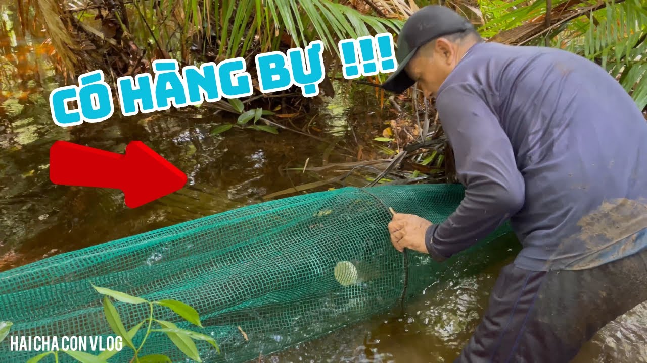 Lợp Bẫy Cá ! Thăm Trúng Mánh Ngay Luồng Cá & Lươn Khủng | Fish Trap 2025