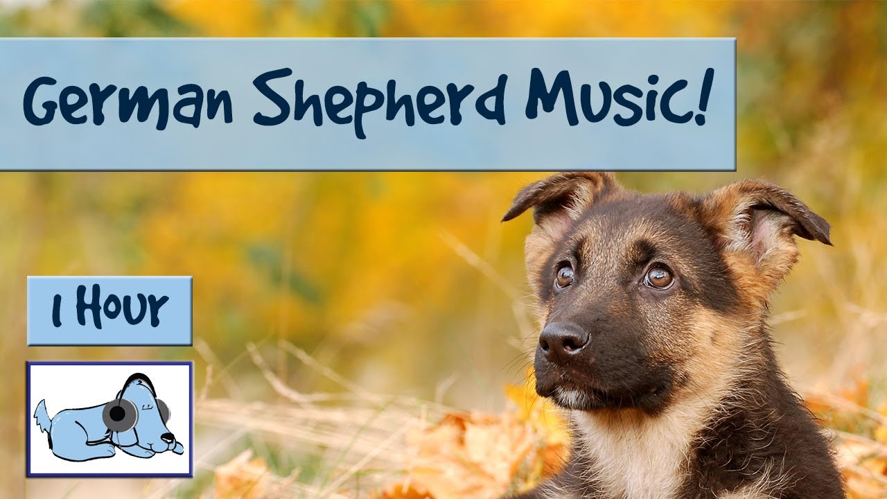 German Shepherd Music! Music to Relax and Calm Down Hyper or Stressed German Shepherds or Alsatians!