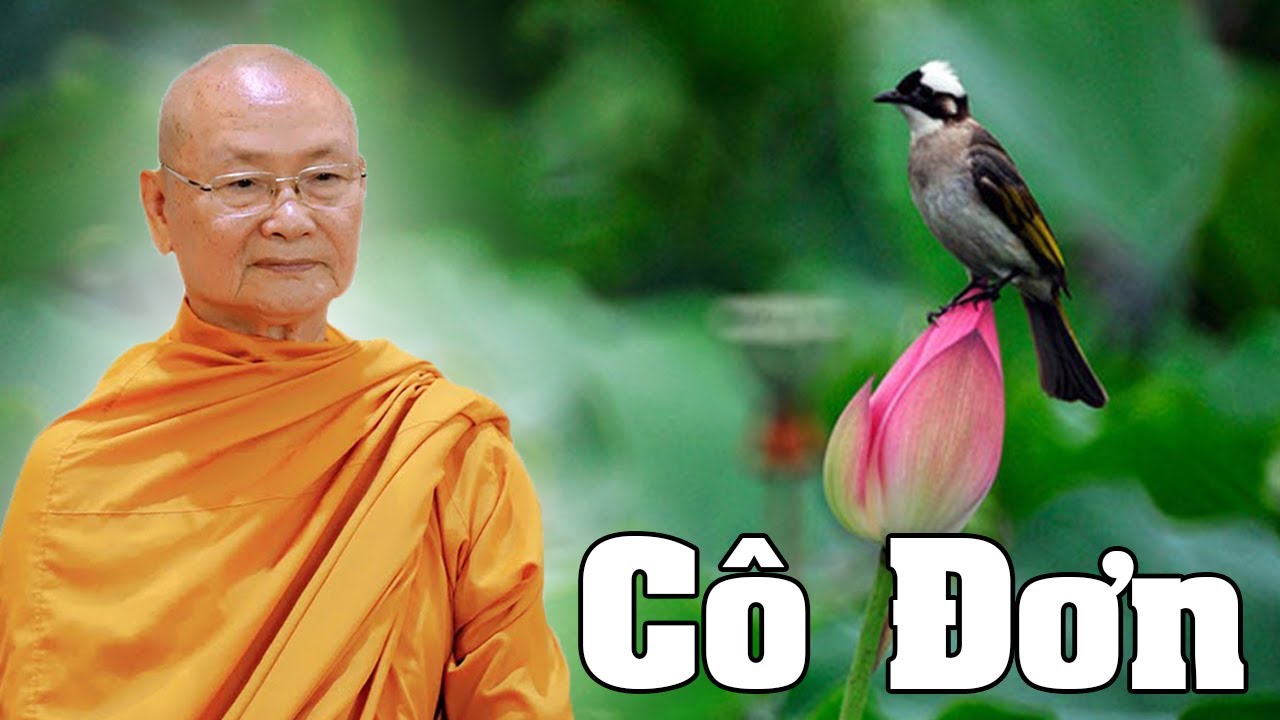 Sự Cô Đơn, Bài Giảng Hay Nghe rất Thấm - Ht Viên Minh Giảng | Phật Pháp Vấn Đáp