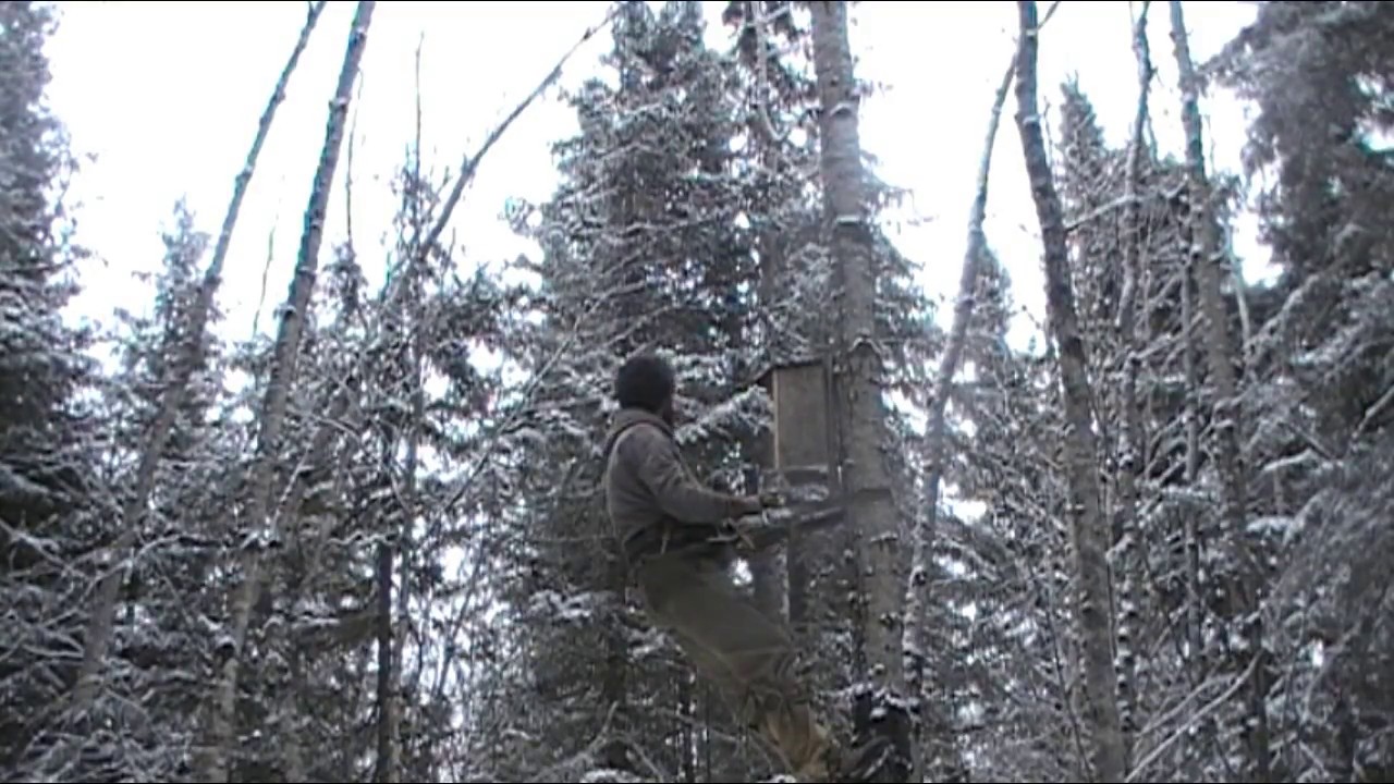 #20 marten nesting boxes to improve your harvest