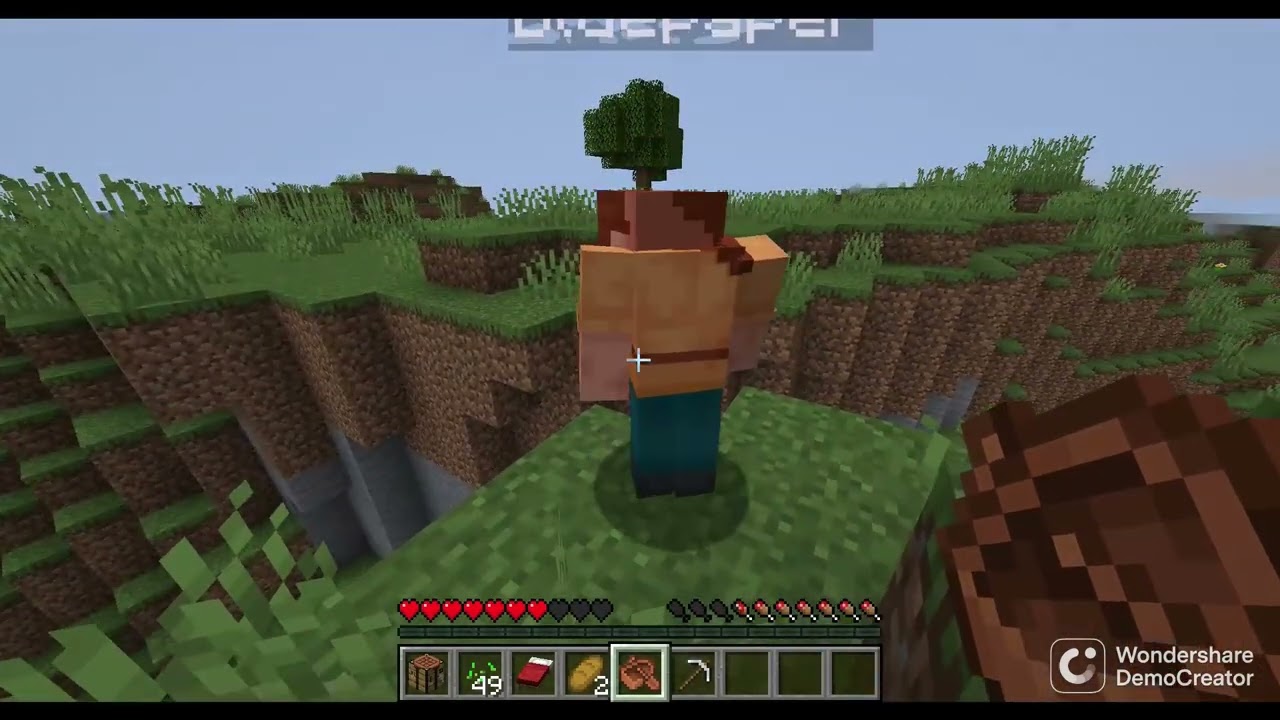 minecrafrt con un amigo