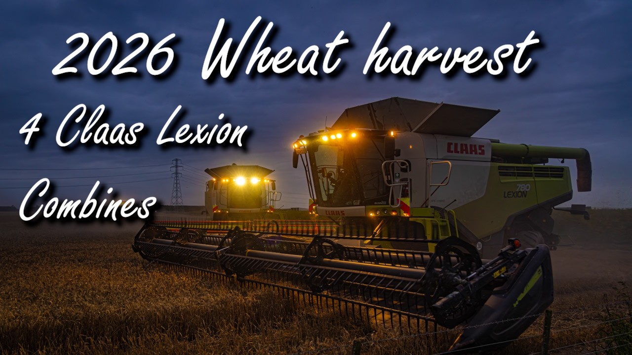 2026 Wheat harvest with 4 Claas Lexion Combines at Ashburton, NZ