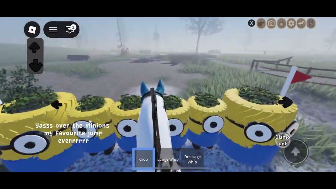 Doing cross country on Casino!//Strideway//Unknown_hobbyhorser//