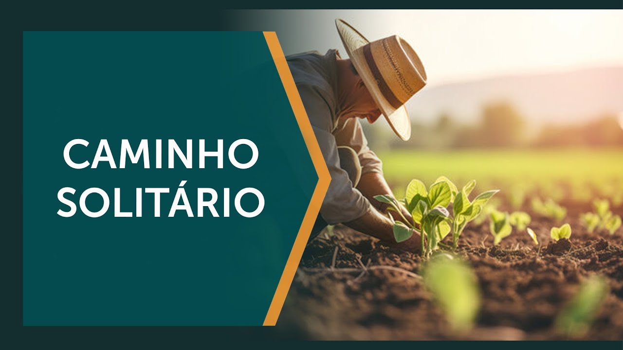 Agro brasileiro resiste sem apoio do governo federal