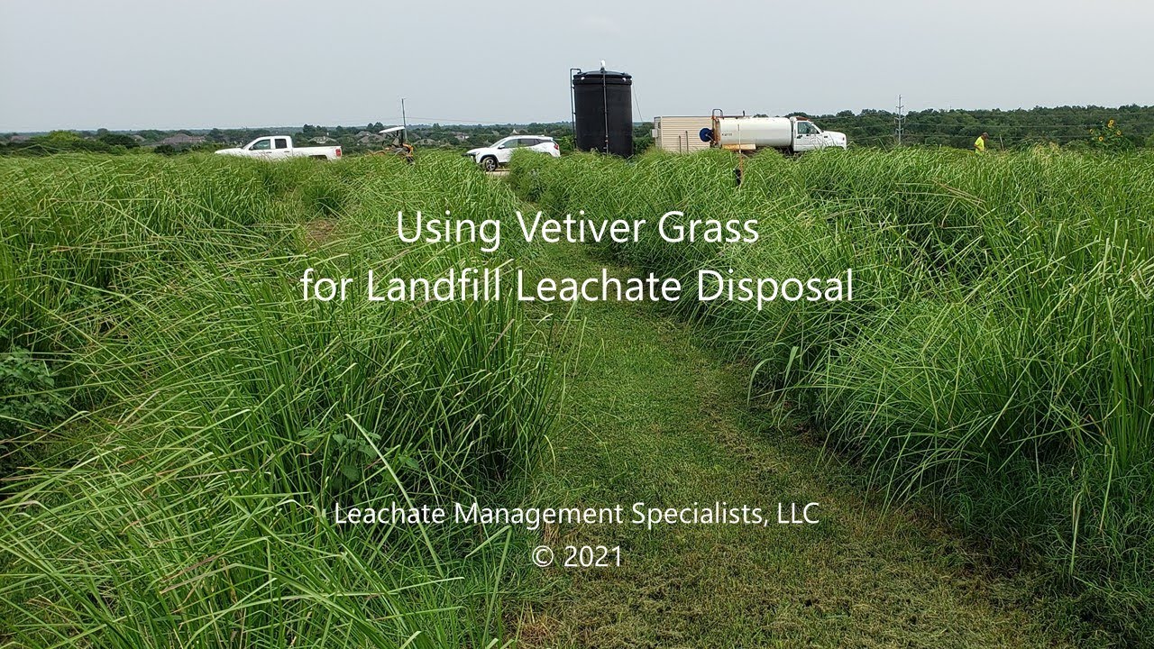 Using Vetiver Grass for Landfill Leachate Disposal with Phyto-Utilization™