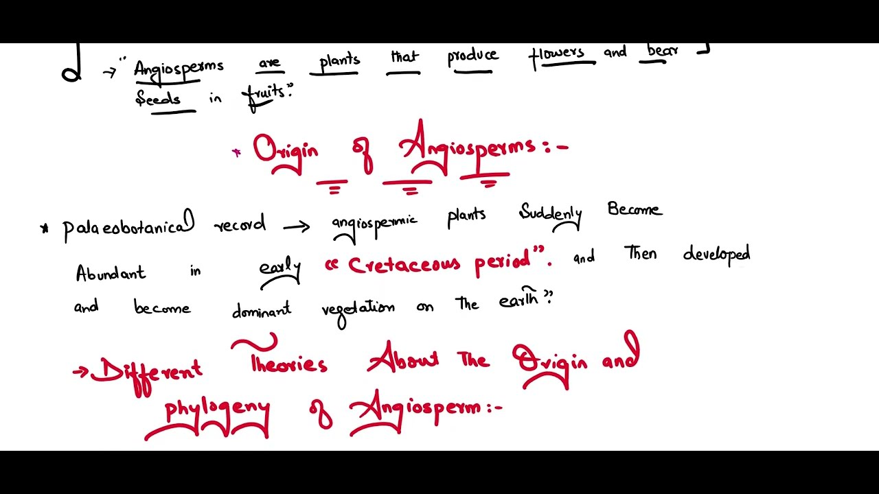 Isoetes-Monocotyledon Theory; origin of angiosperms