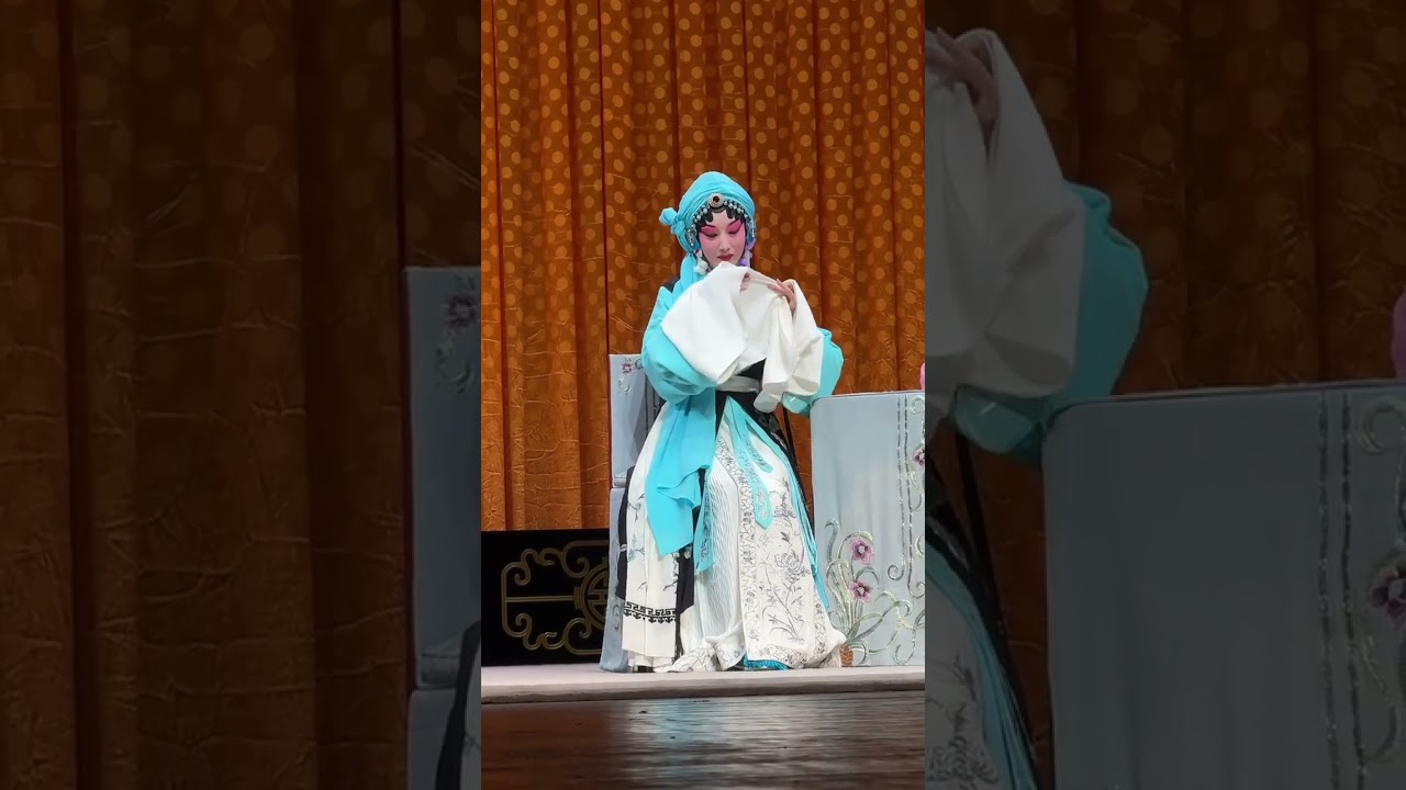 In the Locking the Golden Phoenix Bag played by Guo Wei a Qingyi of the Cheng School the s