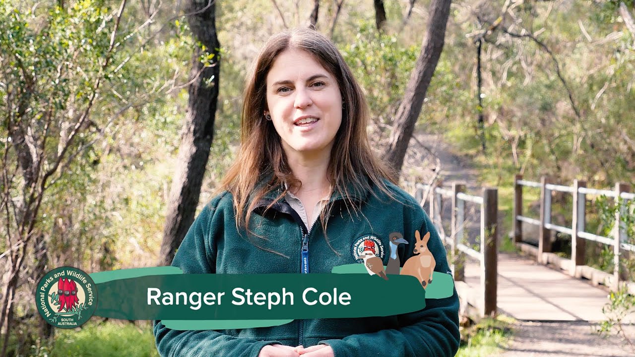 Let's Keep our Wildlife Wild - Quick Tips about not feeding wild animals
