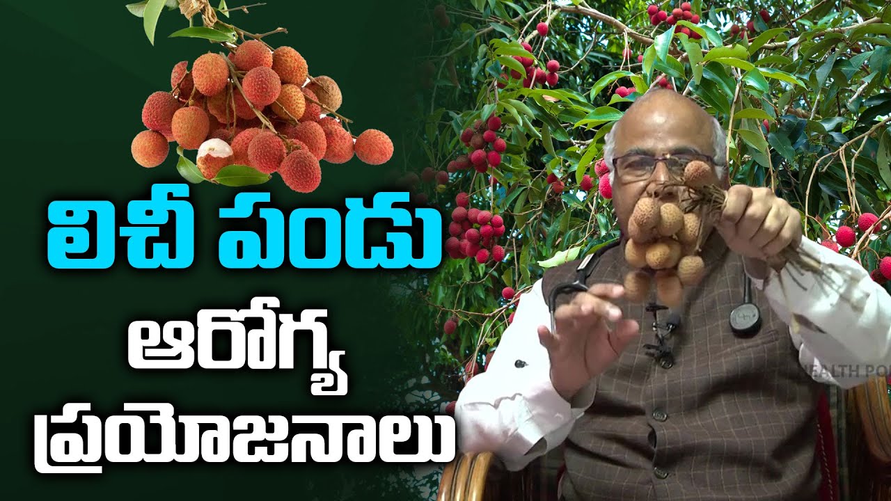 Litchi Fruit  Health Benefits | Dr CL Venkat Rao | Health Popular TV