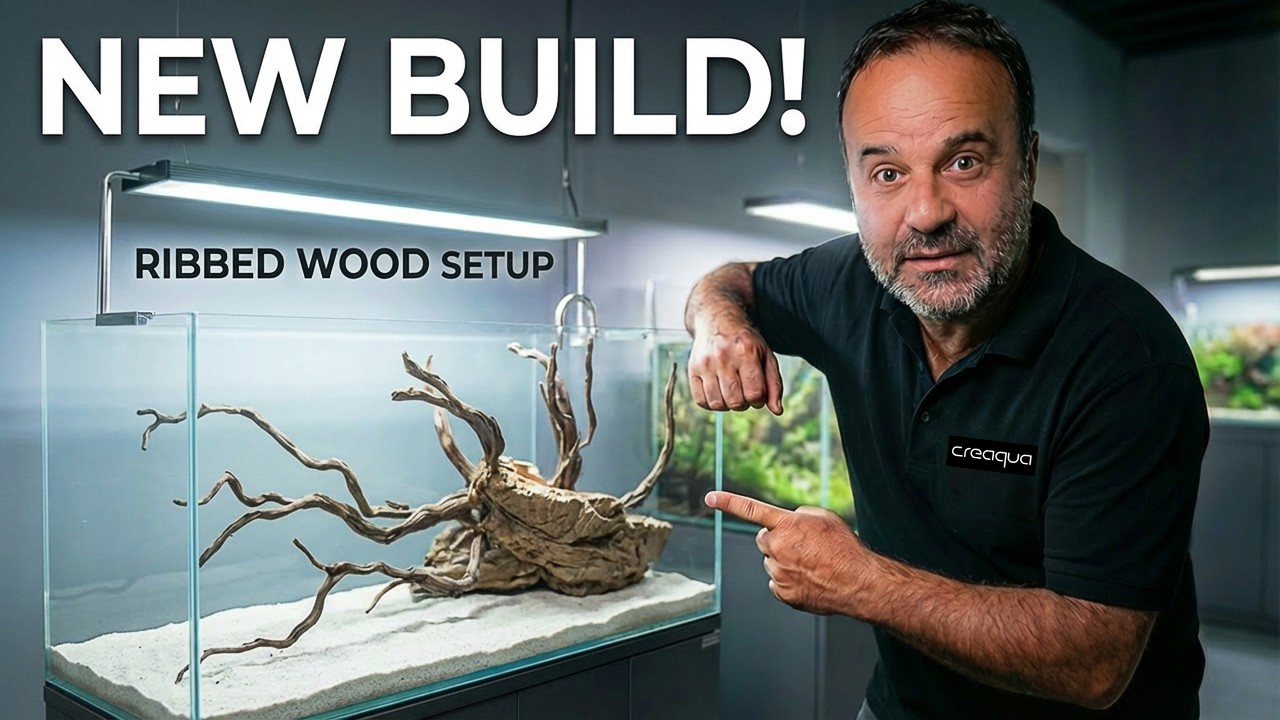 Полный комплект для природного аквариума - без CO2, без удобрений, никаких проблем.