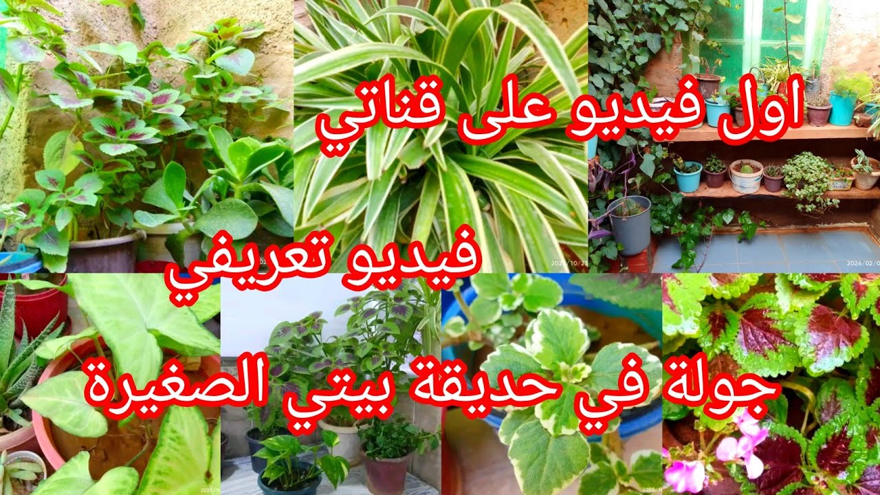 اول فيديو على قناتي فيديو تعريفي عن نفسي وعن المحتوى الخاص بيا 💚