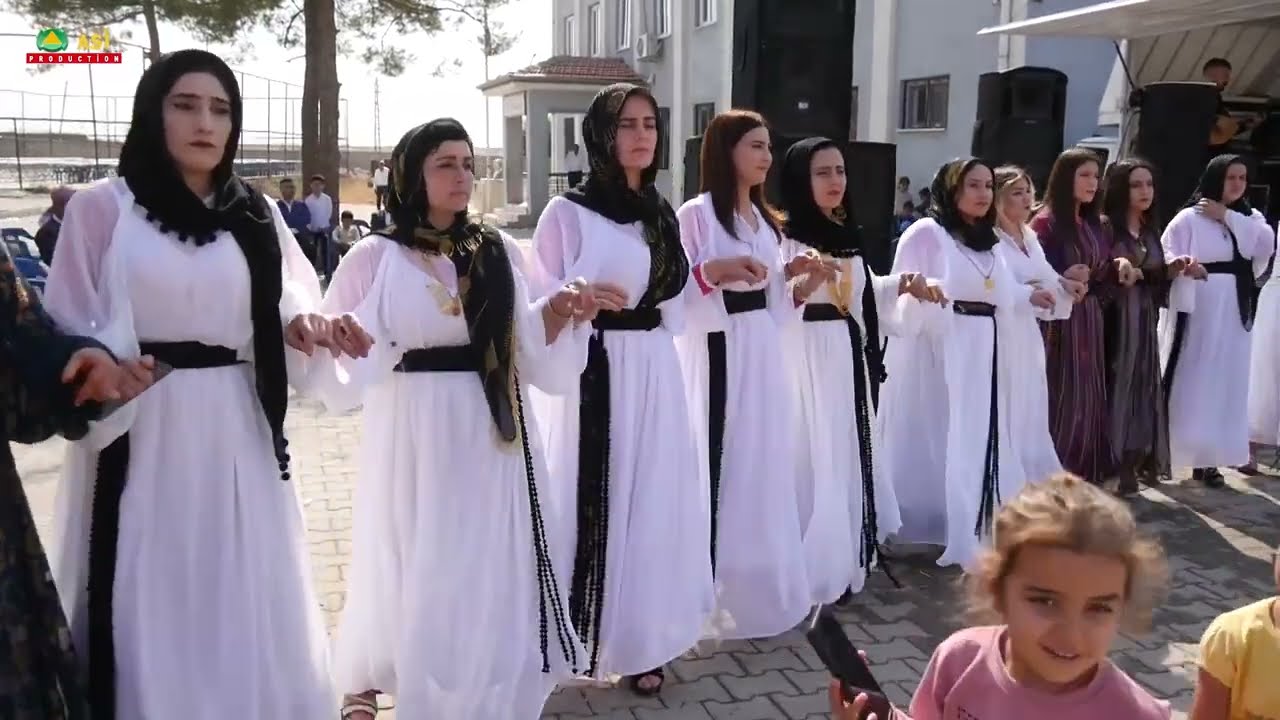 Batü'yan Aşireti Mustafa Erdoğmuş Düğünü Part 5