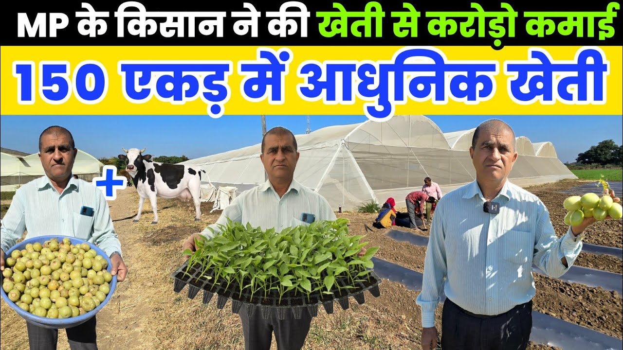 मुझे खेती में कभी नुकसान नहीं हुआ | modern farming | Agriculture business