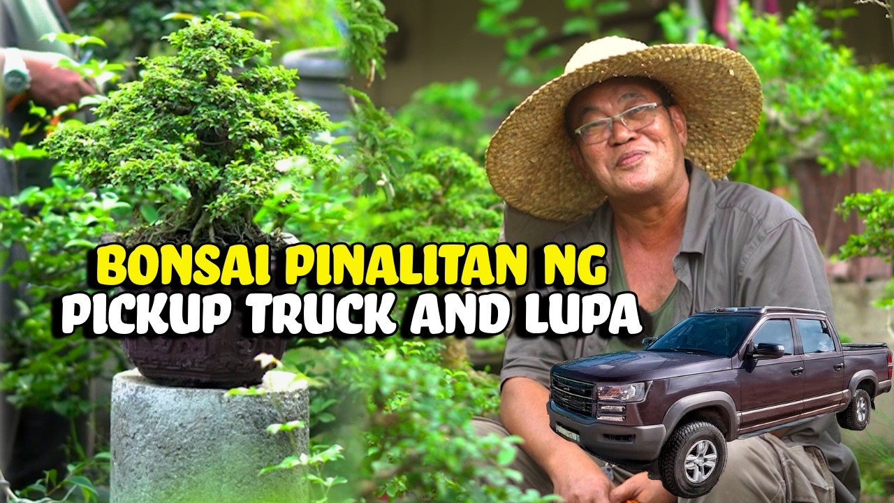 Isang Bonsai Pinalit sa Pickup Truck at Lupa