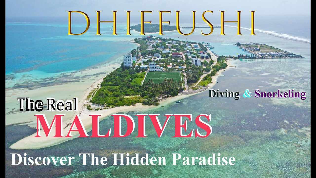 4K | DISCOVER THE HIDDEN PARADISE, DHIFFUSHI ISLAND | Diving & Snorkelling | Maldives 2023