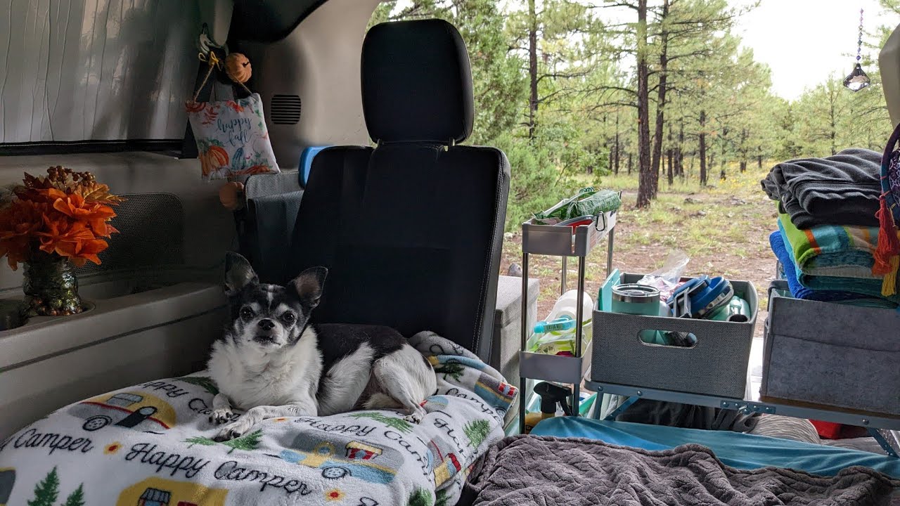 Minivan Camping in the RAIN! | Free Camping on Arizona National Forest Land | Van Life With a Dog